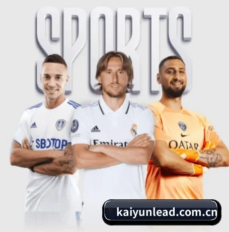 kaiyun APP 界面
